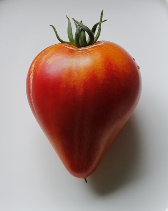 'Härän sydän' -tomaatti